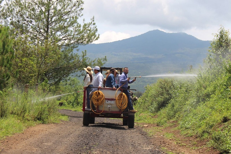 Campaña de Fumigación, Morelia