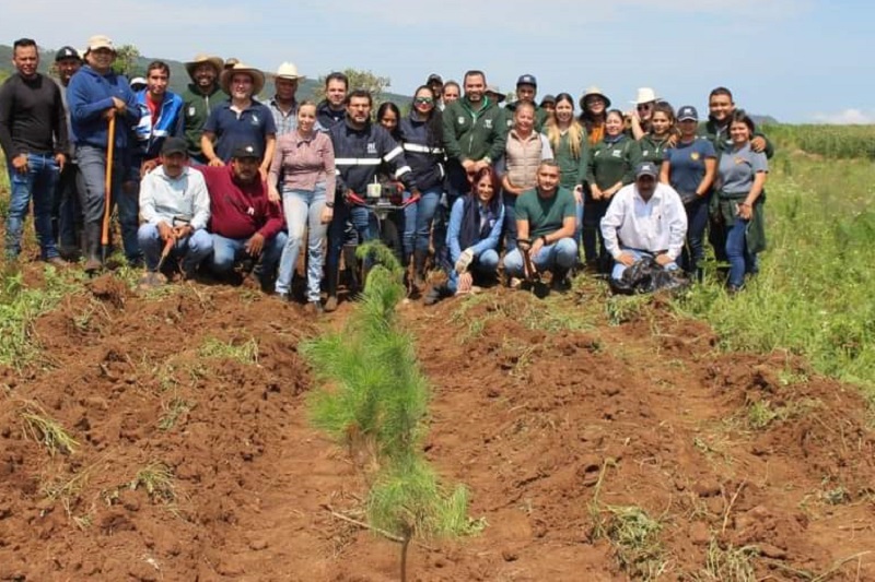 SADERMA, Reforestación, Morelia