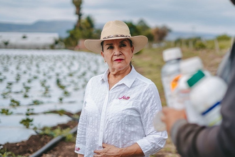 Julieta Gallardo, Michoacán, Campo