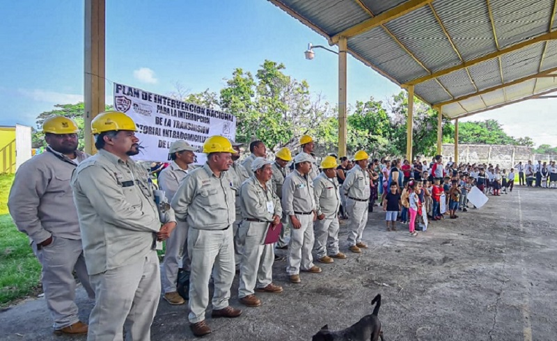 SSM Michoacán, Fumigación