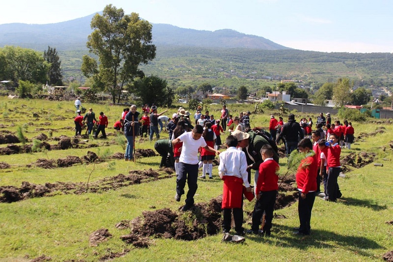 Campaña de Reforestación 2023, Morelia