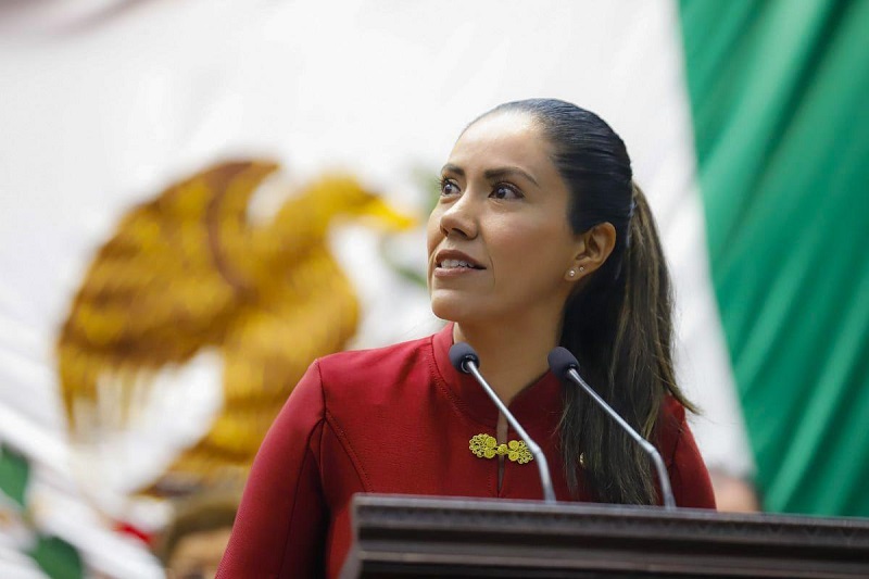 Tercer Año Legislativo, Fanny Arreola, Michoacán