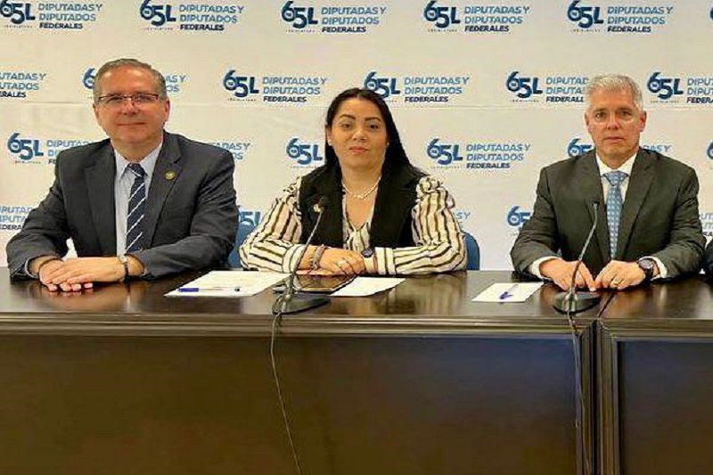 Diputados federales PAN, Michoacán, Inseguridad