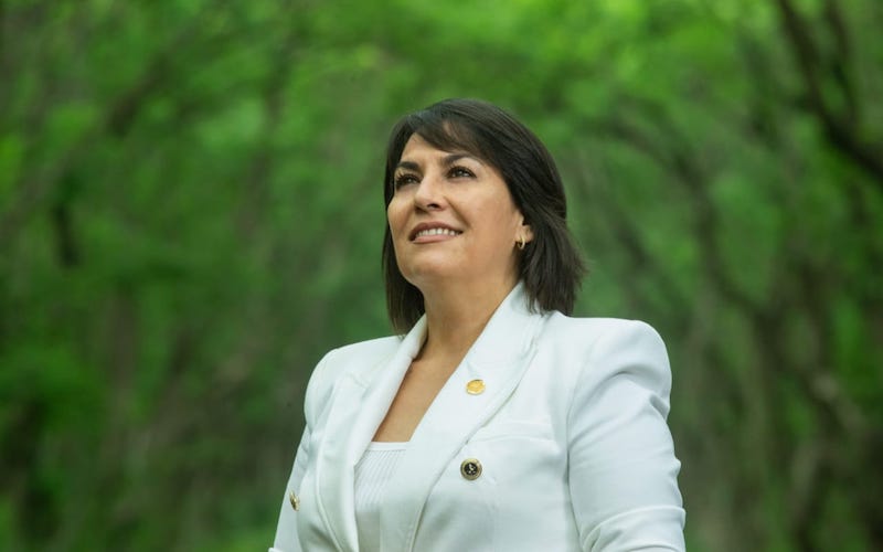 Lariza Pérez Campos