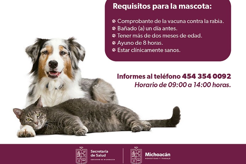 SSM Michoacán
