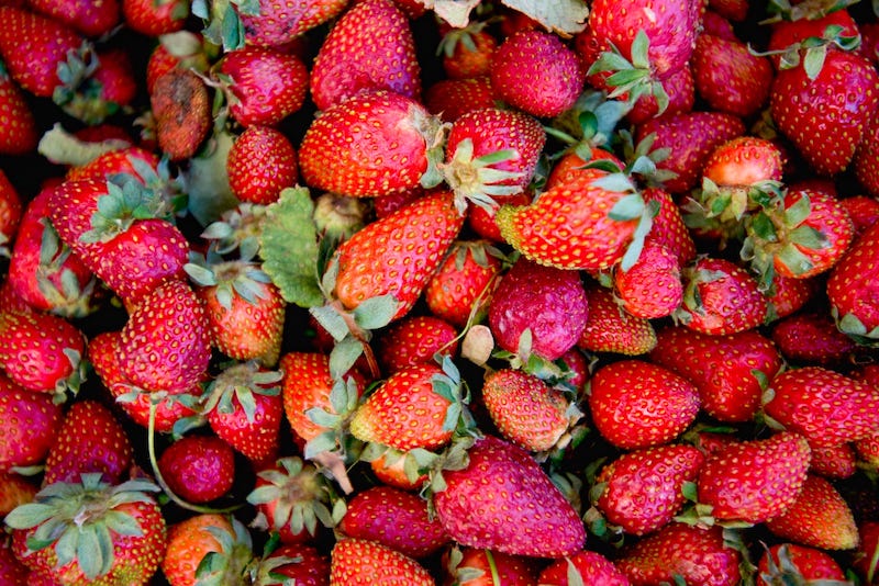 Fresas