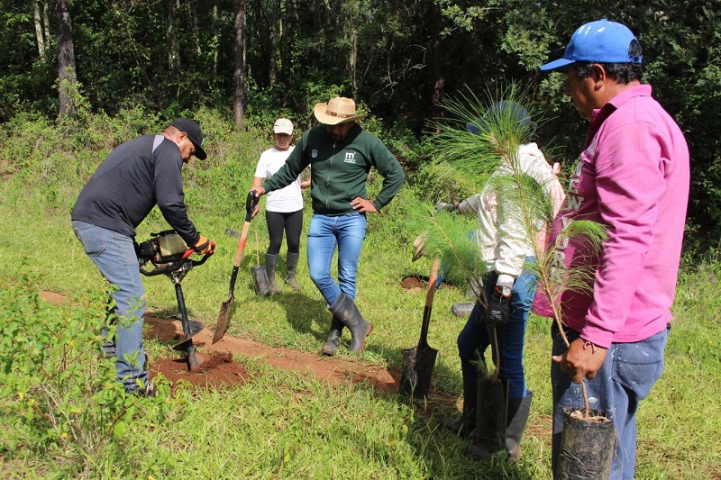 Campaña de Reforestación 2023, Morelia