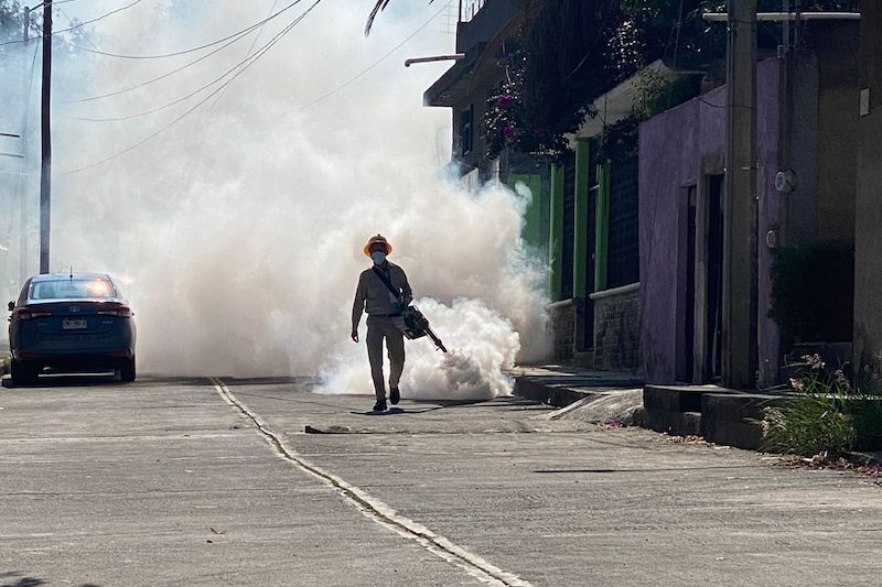 SSM vs. dengue