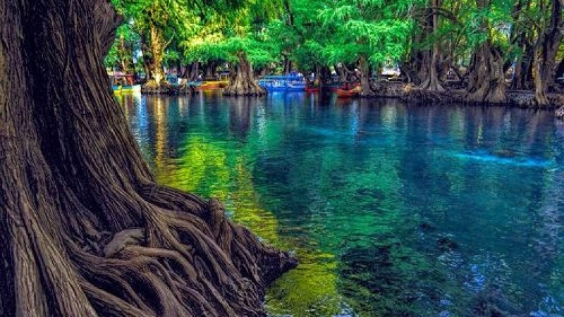 Lago de Camécuaro