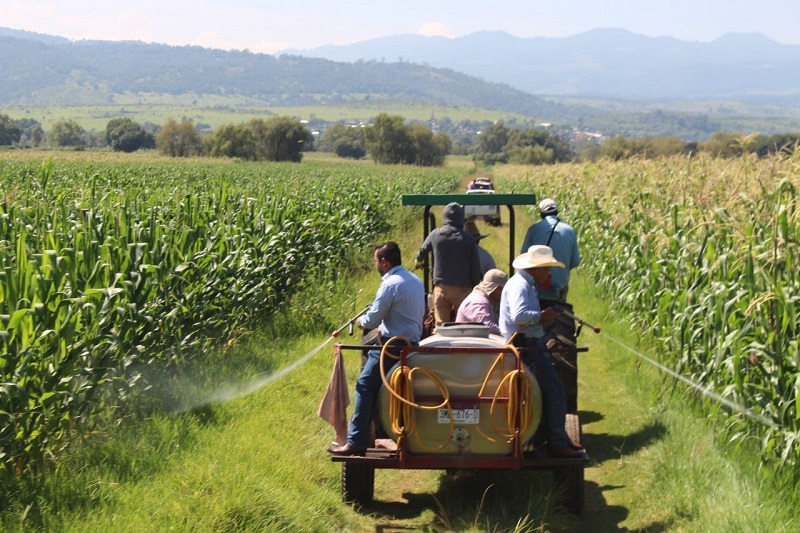 SADERMA, Morelia, Agricultura