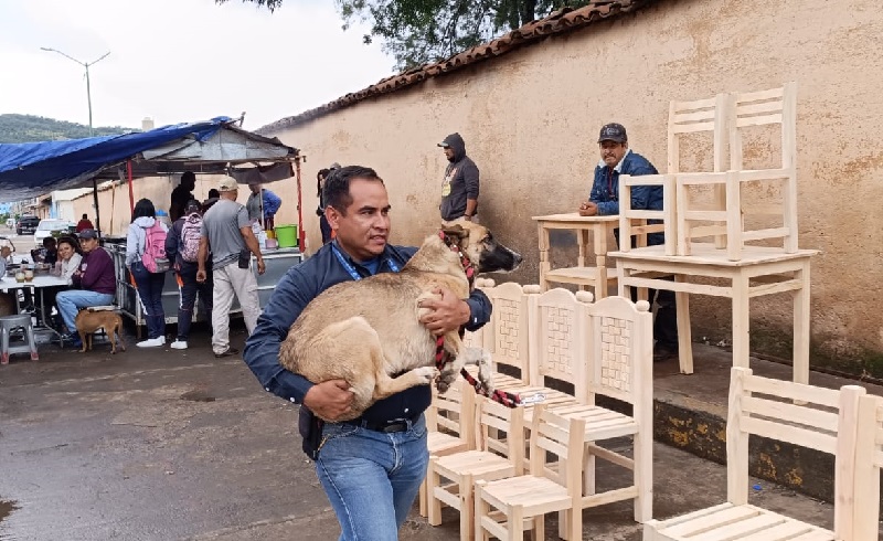 Centro de Atención Animal, Capula, Morelia