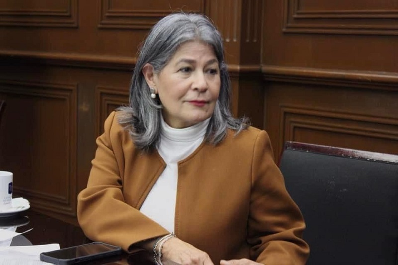 Mayela Salas, Ley de Búsqueda de personas desaparecidas, Michoacán