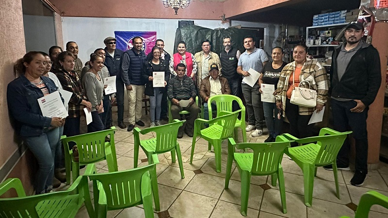 Más Michoacán, Comisiones ejecutivas