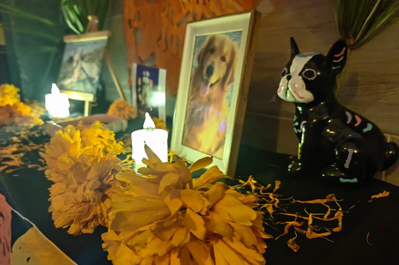 Coatzacoalcos, Altar a animales