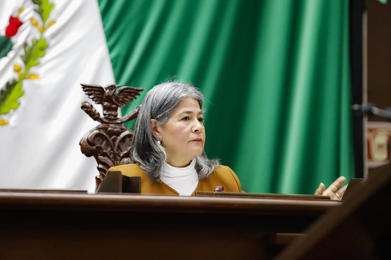 Ley General de Salud, Congreso de Michoacán, Regulaciónes, Servicio de tatuajes y perforaciones