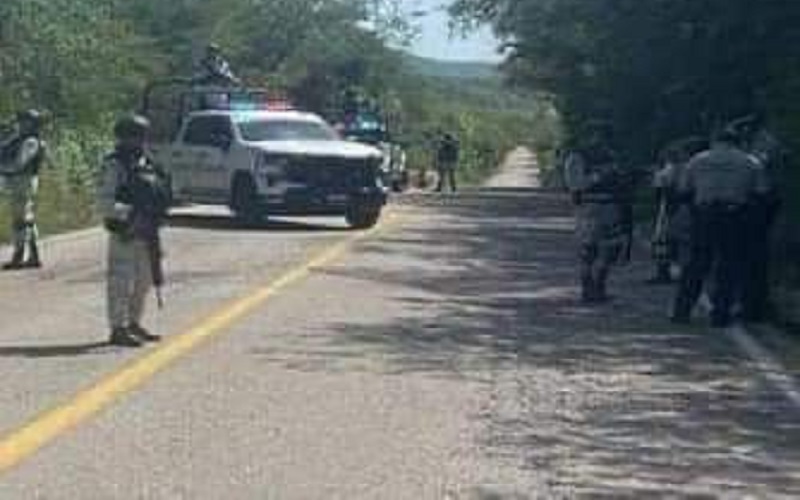 Emboscada a la GN, Vistahermosa, Michoacán, Crimen organizado