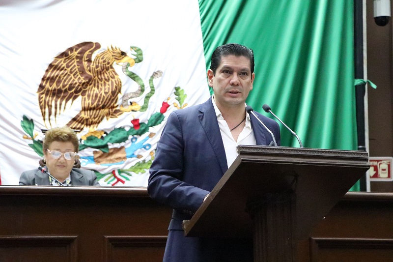 PVEM Michoacán, Maltrato animal, Castigos
