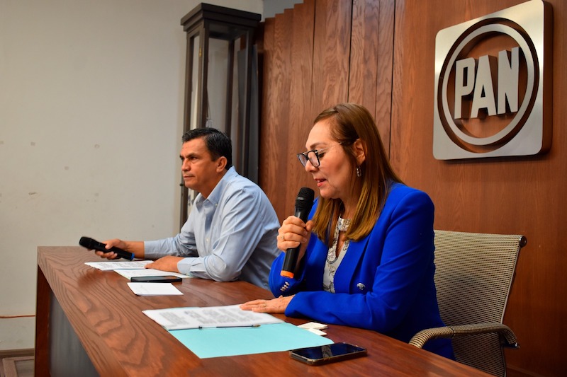 PAN Michoacán