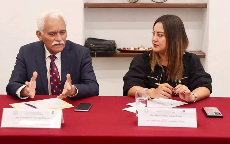 Mónica Valdez, Congreso de Michoacán