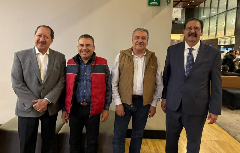 Raúl Morón, Comité de la 4T, Michoacán