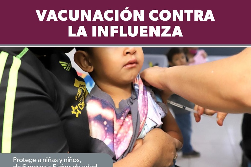 Vacunación contra la influenza, SSM Michoacán