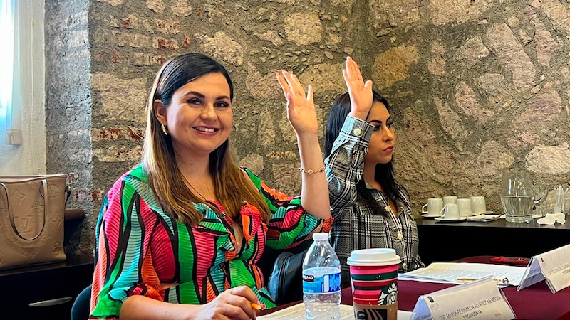 Morena, Fernanda Álvarez, Congreso de Michoacán