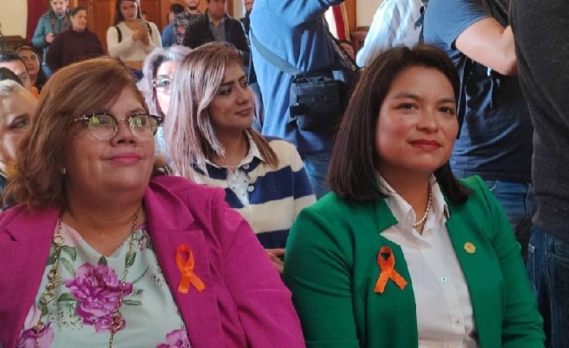 Buzón Naranja, Congreso de Michoacán