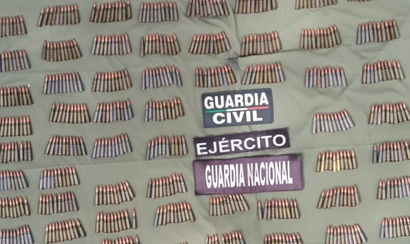 SSP, Michoacán, Detención