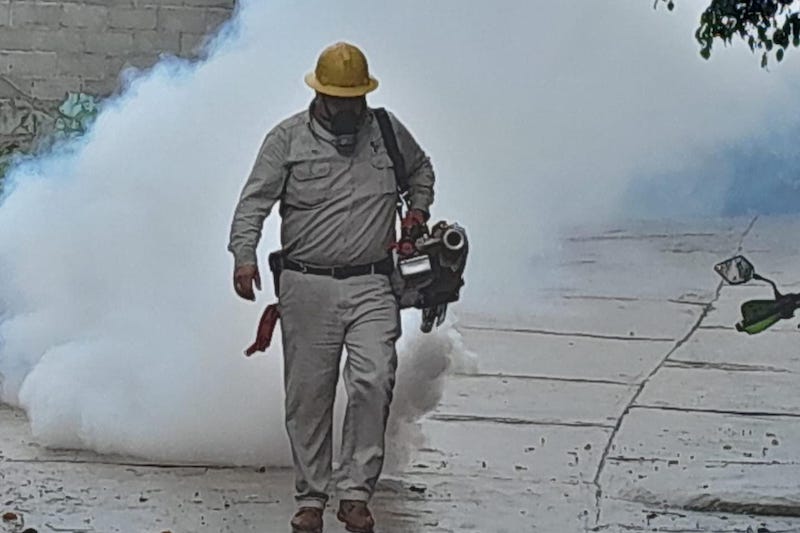 SSM vs. dengue