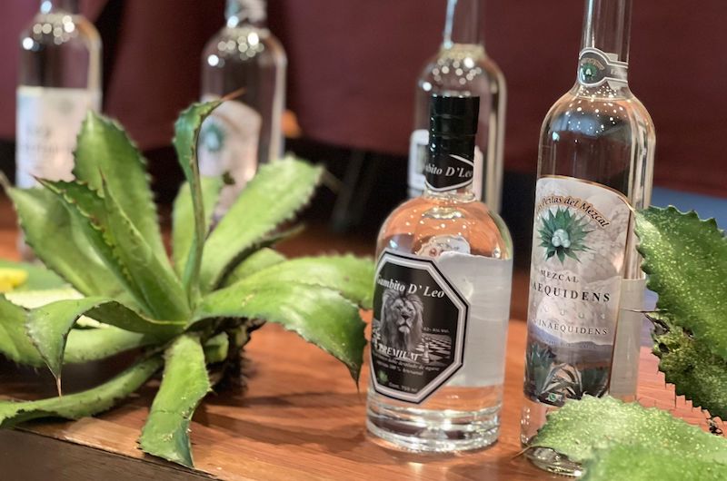 Festival del Mezcal de Etúcuaro