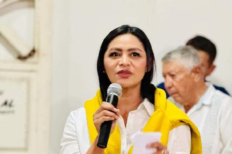 PRI, PRD, Michoacán, Araceli Saucedo