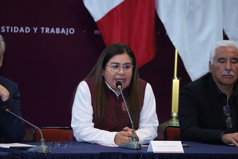 Inversión, SSM Michoacán