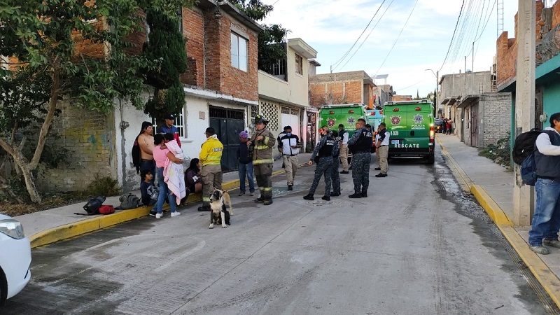 Ataque de abejas, Morelia