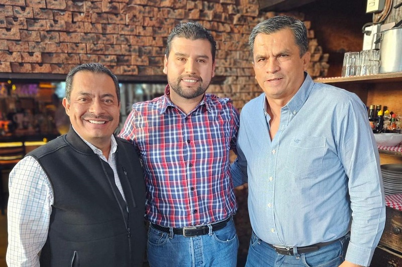 PAN, PRI, PRD, Michoacán