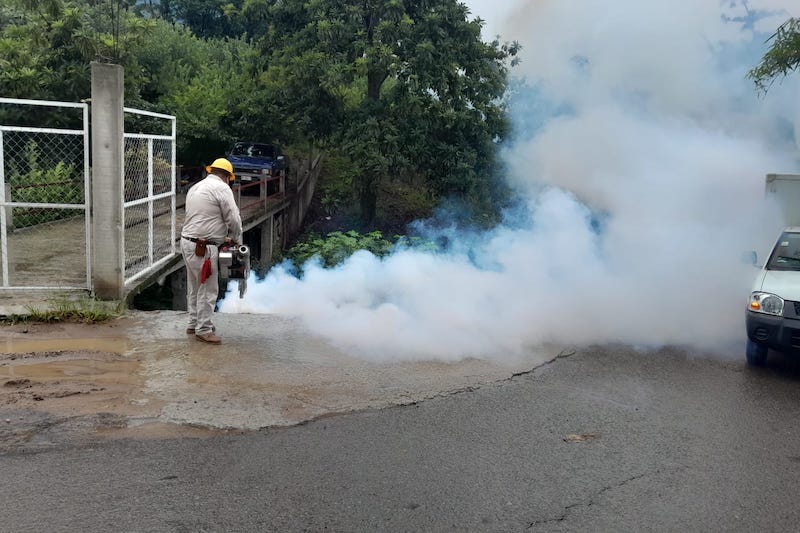 SSM vs. dengue