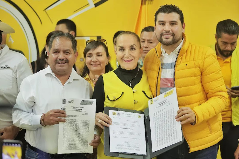 Julieta Gallardo Mora, PRD