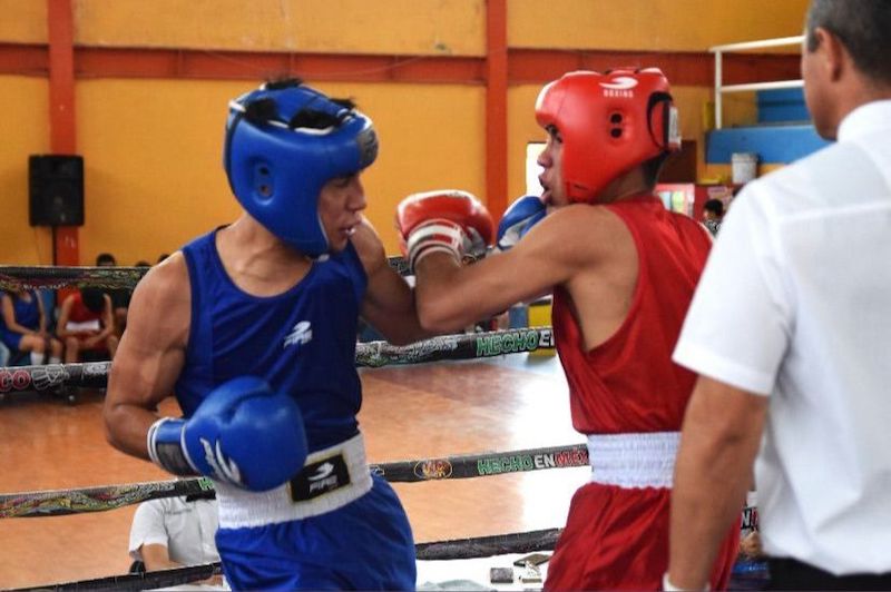 Boxeo Morelia