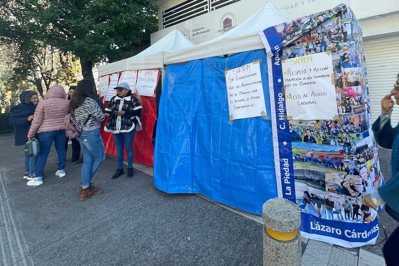SIPTEM Michoacán, Cristina Portillo, Demandas