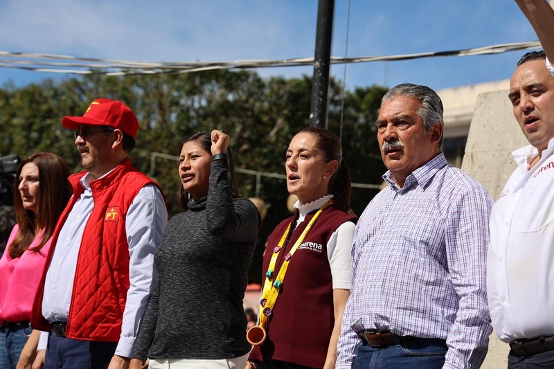 Morena, Raúl Morón, Michoacán