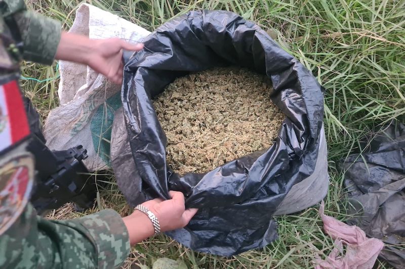marihuana asegurada