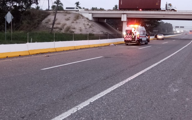 Atropello en autopista Siglo XXI