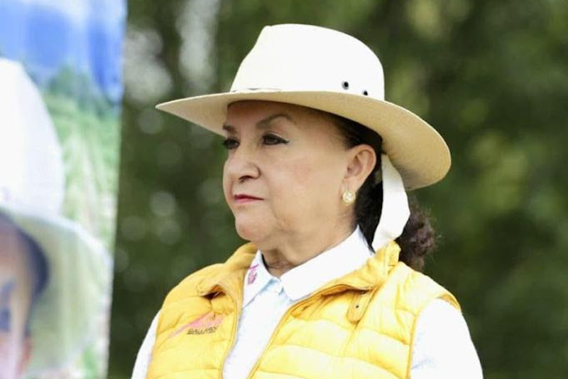 Julieta Gallardo Mora