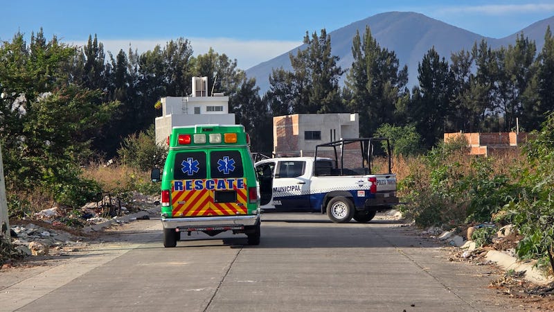 Inseguridad, Zamora