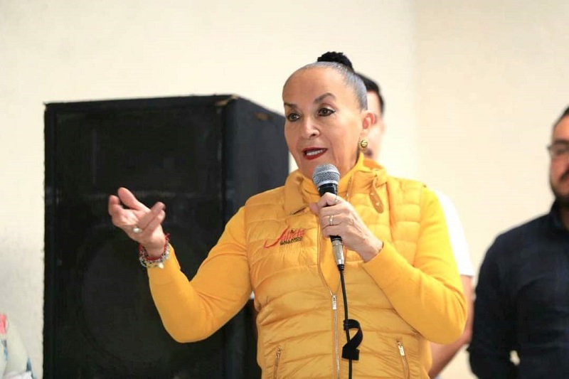 Congreso de Michoacán, Julieta Gallardo