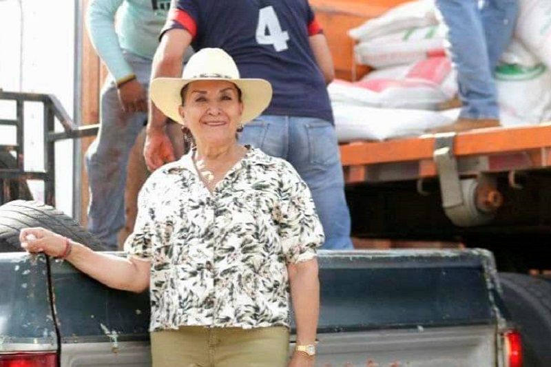 Julieta Gallardo, PRD, Campo, Michoacán
