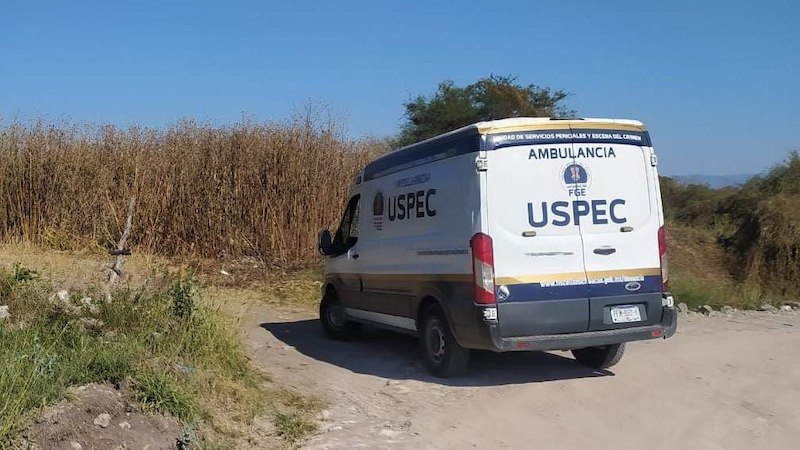 USPEC, FGE