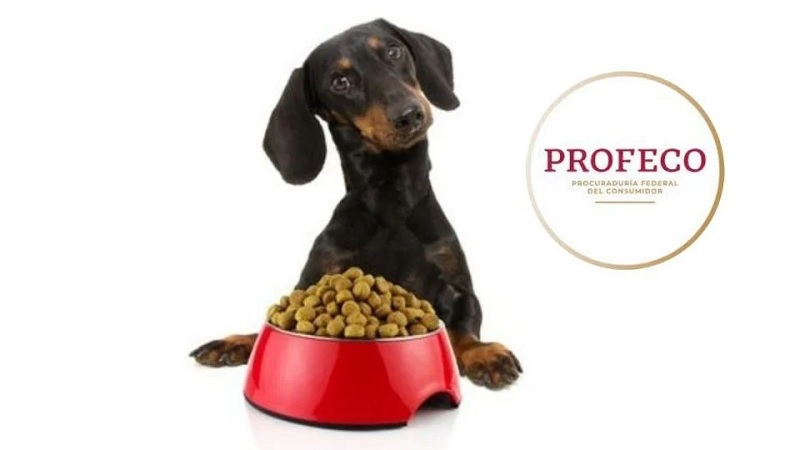 Profeco. Croquetas de perro