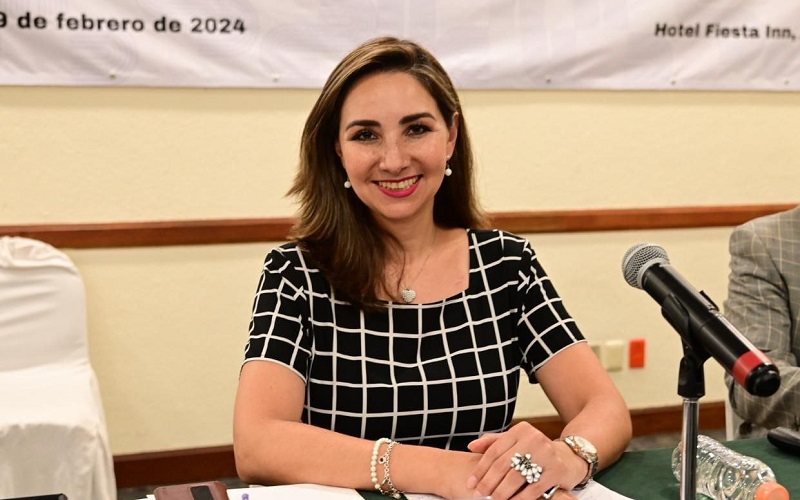 Alma Bahena, Inteligencia Artificial, Proceso electoral