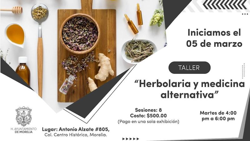 Taller de Herbolaria