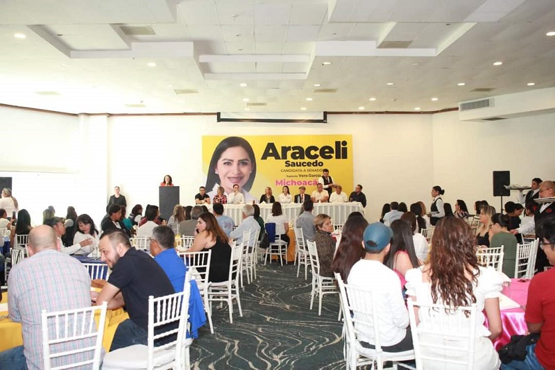 Araceli Saucedo, Michoacán, Campaña